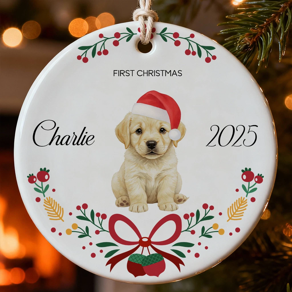 Personalized Dog Scandinavian Christmas Ornament 2025 | Custom Pet Holiday Keepsake | Christmas Decoration