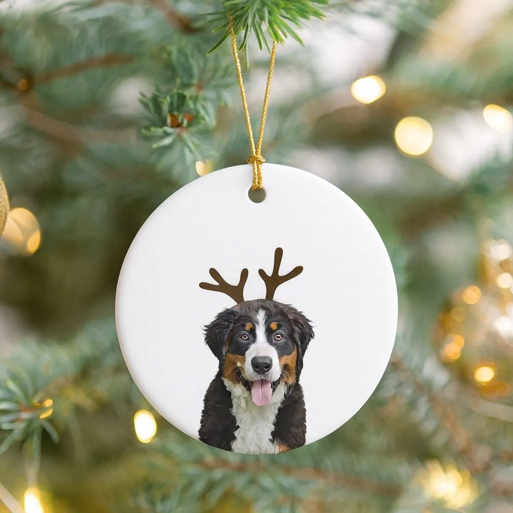 Personalized Pet Ornament | Custom Ceramic Keepsake | Christmas Tree Decoration - Image 6